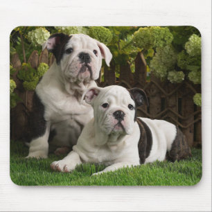 Ratón Cachorro de Bulldog Adorable en Flores Alfombrilla