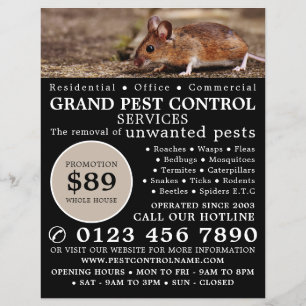 Ratón, publicidad de control de plagas