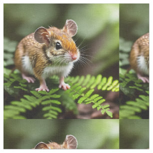 Ratón Saltarín Australiano, Tela