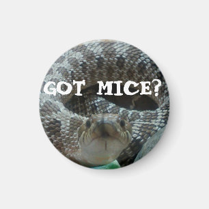 ¿Ratones conseguidos? Imán de Hognose