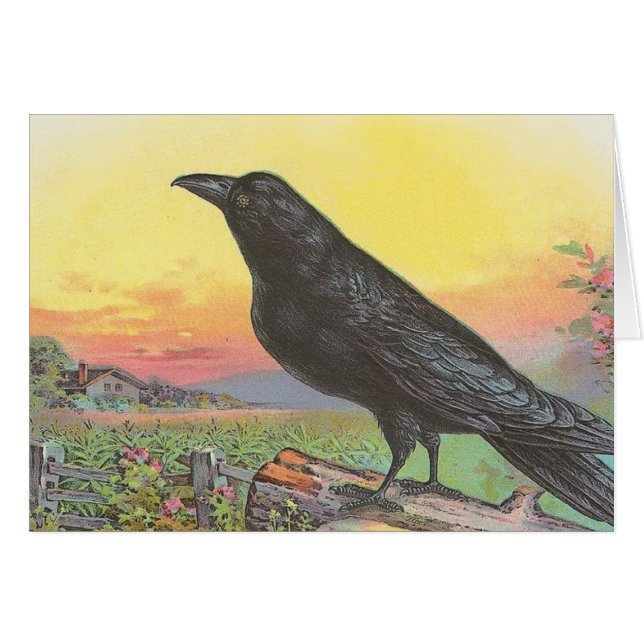 Raven (Anverso (Horizontal))