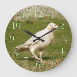 Raven blanco raro (espíritu) y reloj de pared de h