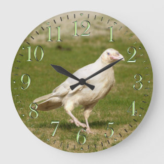 Raven blanco raro (espíritu) y reloj de pared de h