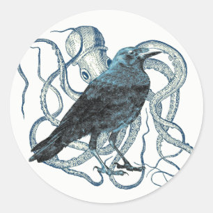 Raven Enredado Por El Pegatina Del Octopus