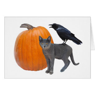 Raven, gato gris con tarjeta Halloween de calabaza