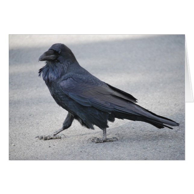 Raven negro (Anverso (Horizontal))