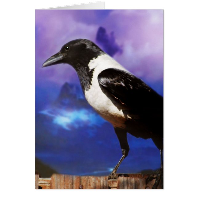 Raven sobre una cerca (Frente)