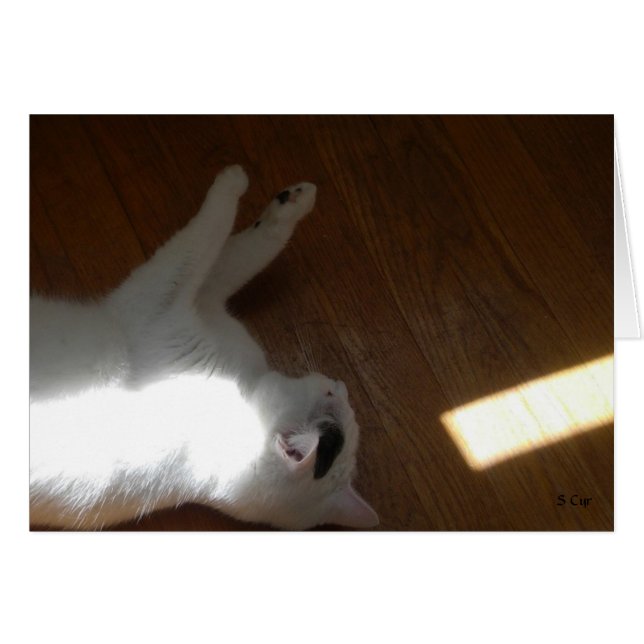 Ray of Light, S Cyr (Anverso (Horizontal))