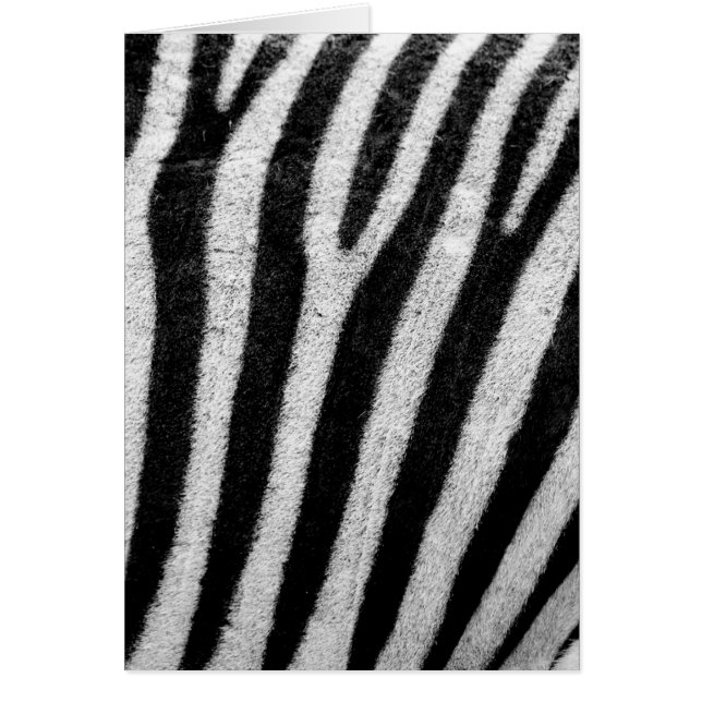 Rayas de pelo de cebra blanca y negra (Frente)