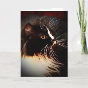 Rayo de luna - tarjeta de nota de encargo