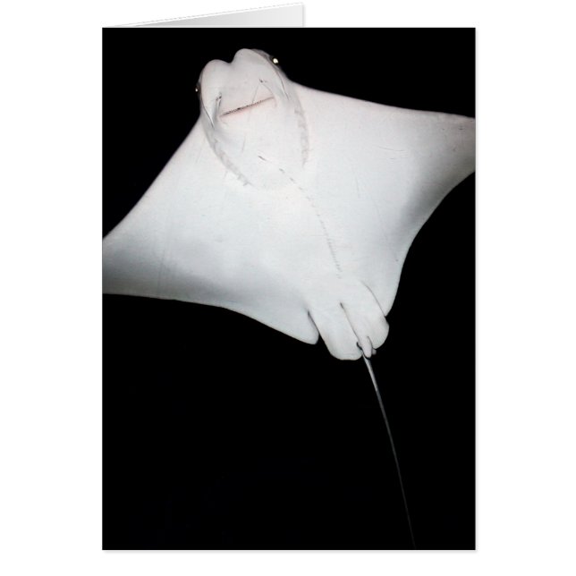 Rayo sonriente (Frente)