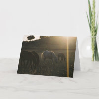 Rayos de sol del cielo - tarjeta de felicitación