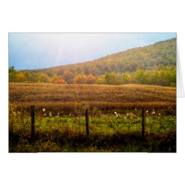 Rayos de sol en otoño