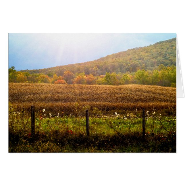 Rayos de sol en otoño (Anverso (Horizontal))