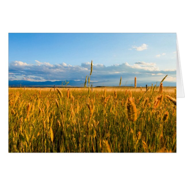 Rayos de sol sobre un campo de trigo con montañas (Anverso (Horizontal))