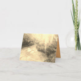 Rayos ligeros y tarjeta de banco