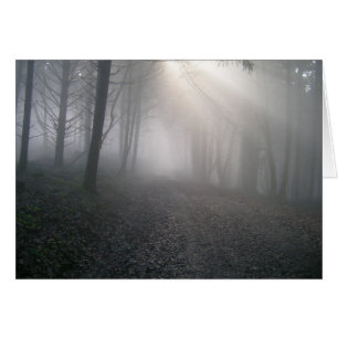 Rays a través de la niebla