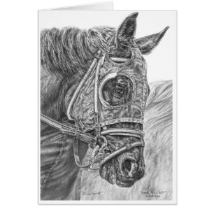 Raza de caballos tosada por Kelli Swan