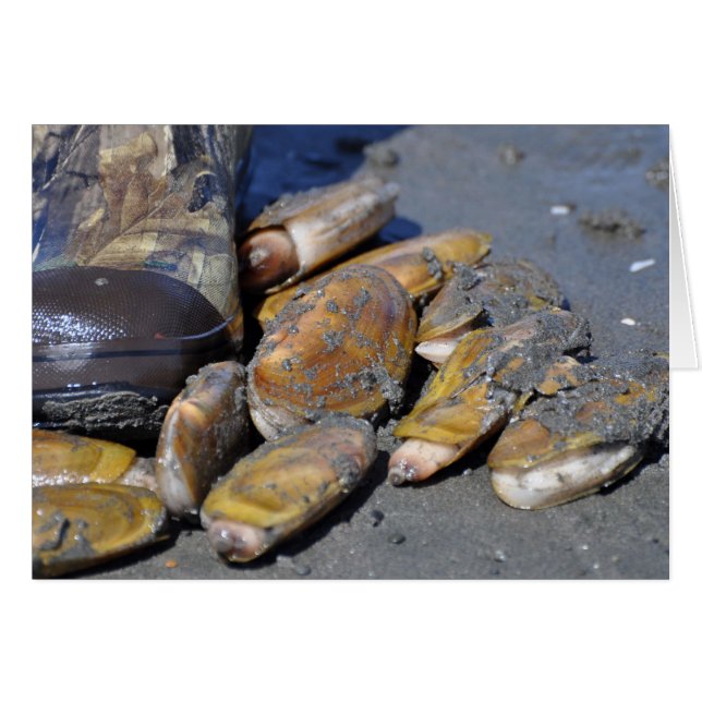Razor Clams (Anverso (Horizontal))