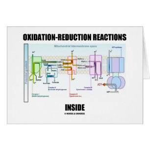 Reacciones de la oxidación-reducción dentro