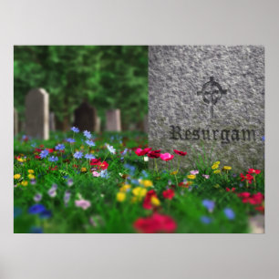 Reactivar impresión