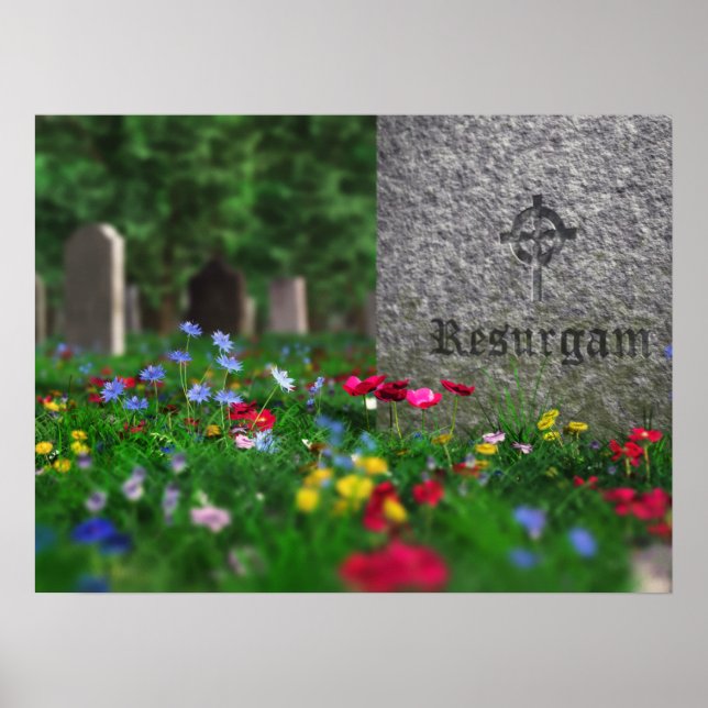 Reactivar impresión (Frente)