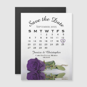 Real Rosa Púrpura Guardar el imán del calendario d