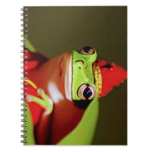 Realeza Forestal- Cuaderno de Fotos en Espiral