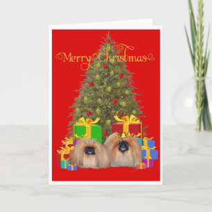 Realeza Pequinés Celebran Navidad