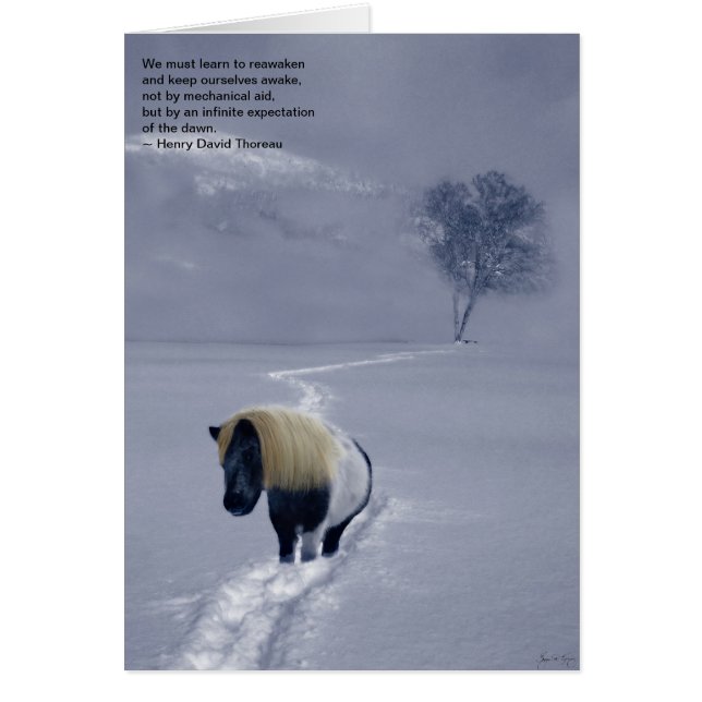 "Reawakening" Tarjeta Thoreau (Frente)