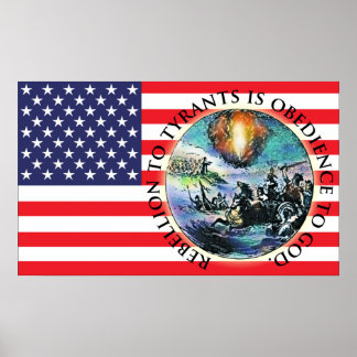 Rebelión Posters de la bandera de los Estados Unid