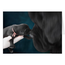 Recepción a la tarjeta en blanco del mundo