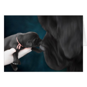 Recepción a la tarjeta en blanco del mundo