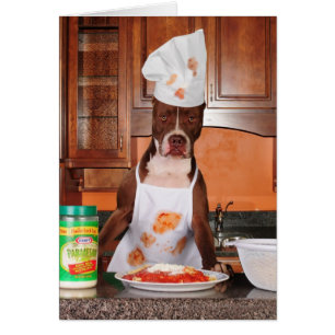 Recepción a mi cocina