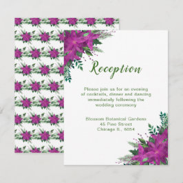 Recepción de bodas de navidades de Poinsettia Púrp