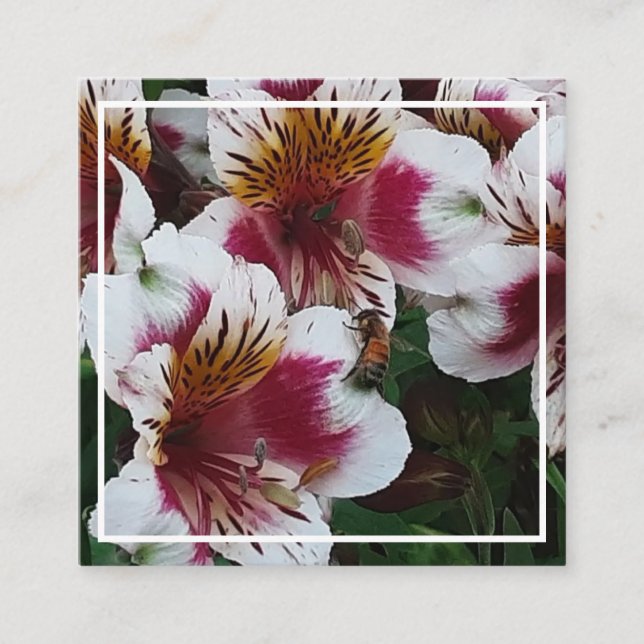 Recepción Tarjeta de cierre de abejas y alstromerias (Anverso)