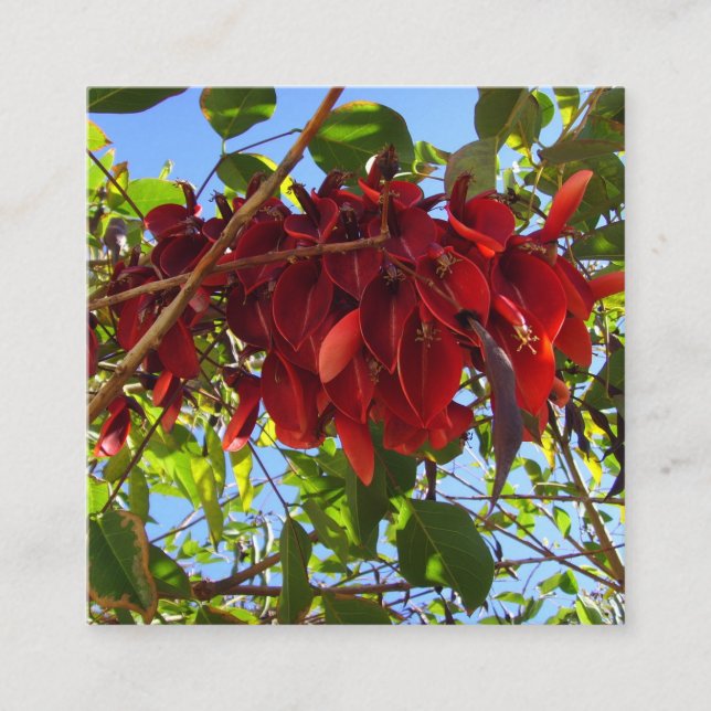 Recepción tarjeta de cierre de hojas rojas (Anverso)