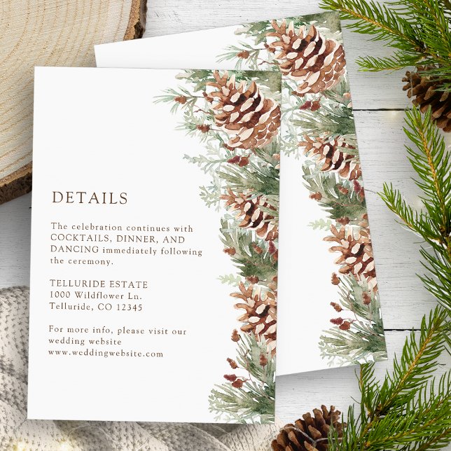 Recepción Tarjeta de detalles de invierno (White Winter Watercolor Evergreen Pinecones Details Enclosure Card by Painted Paperie)