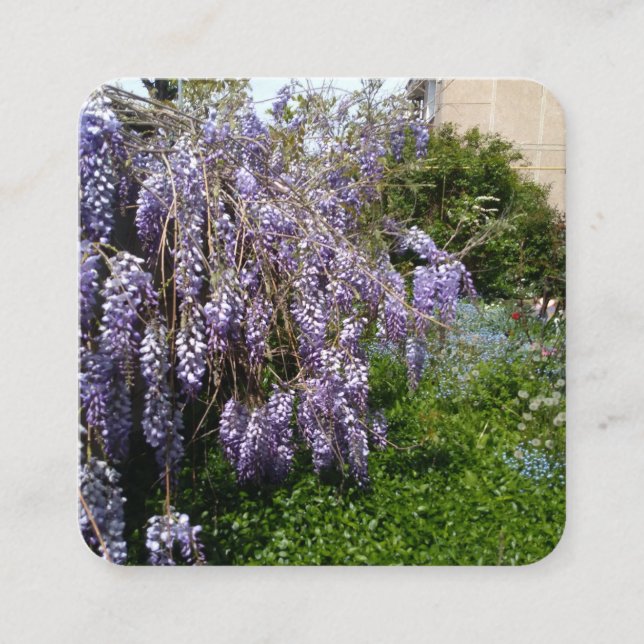 Recepción Tarjeta de Enclosure Wisteria Violeta Verde (Anverso)