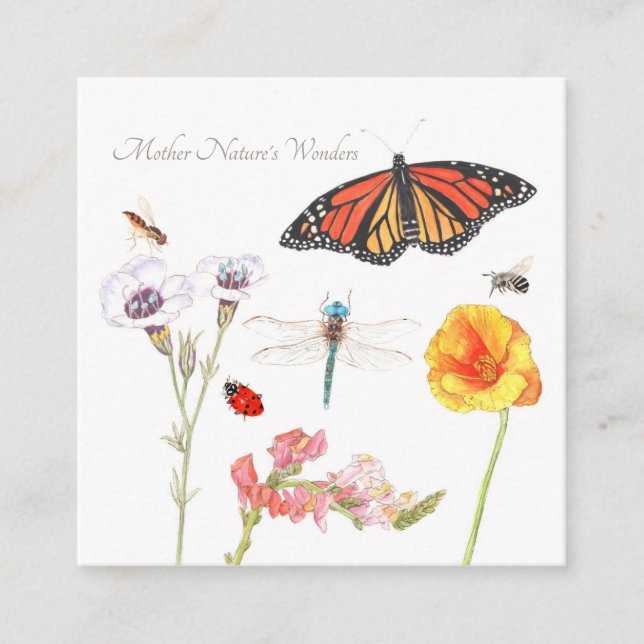 Recepción Tarjeta de inscripción de las maravillas de la mad (Anverso)