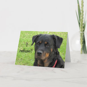 Rechazar la tarjeta Rottweiler Get Well Card