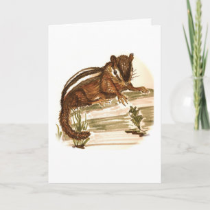 Rechoncho la tarjeta de cumpleaños del Chipmunk