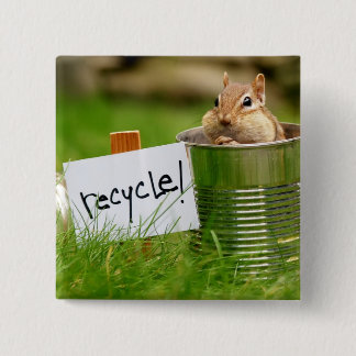 Reciclaje del botón del Chipmunk