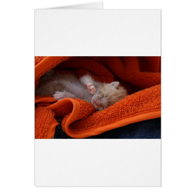 Recién Nacido Gatito - Totalmente personalizable (Frente)