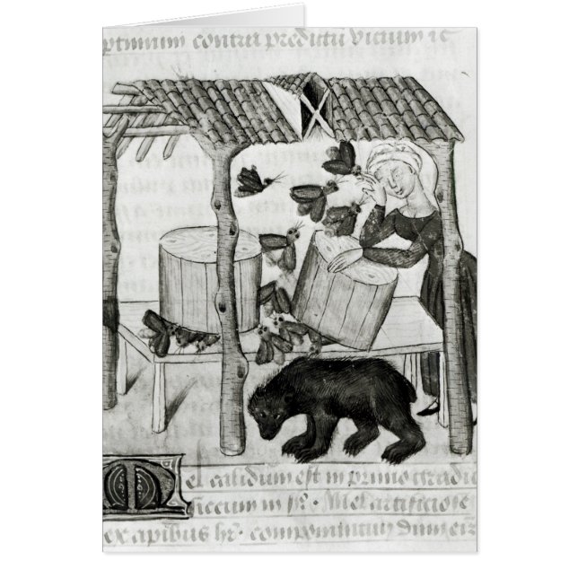 Recogida de la miel (Frente)