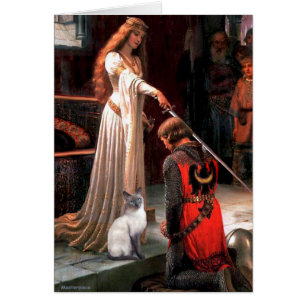 Recolada - gato siamés de Blue Point