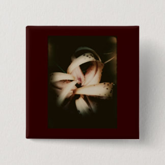 Reconsidere el botón 105