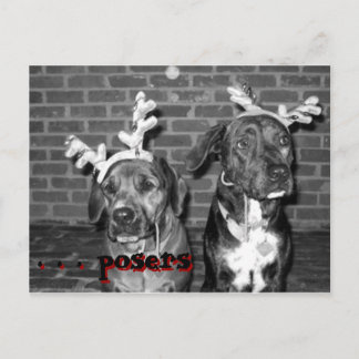 recontraste de la tarjeta de navidad, . ... ...