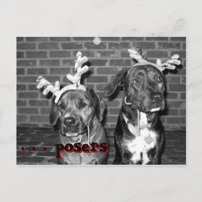 recontraste de la tarjeta de navidad, . ... ... (Anverso)