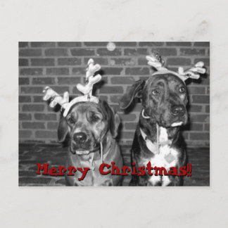 recontraste de tarjetas de navidad, ¡¡¡Feliz Navid